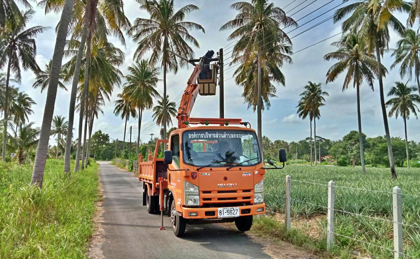 ซ่อมไฟฟ้าส่องสว่างสาธารณะที่ชำรุด ขัดข้อง ในเขตพื้นที่ หมู่ที่ 9 บ้านหนองน้ำขาว