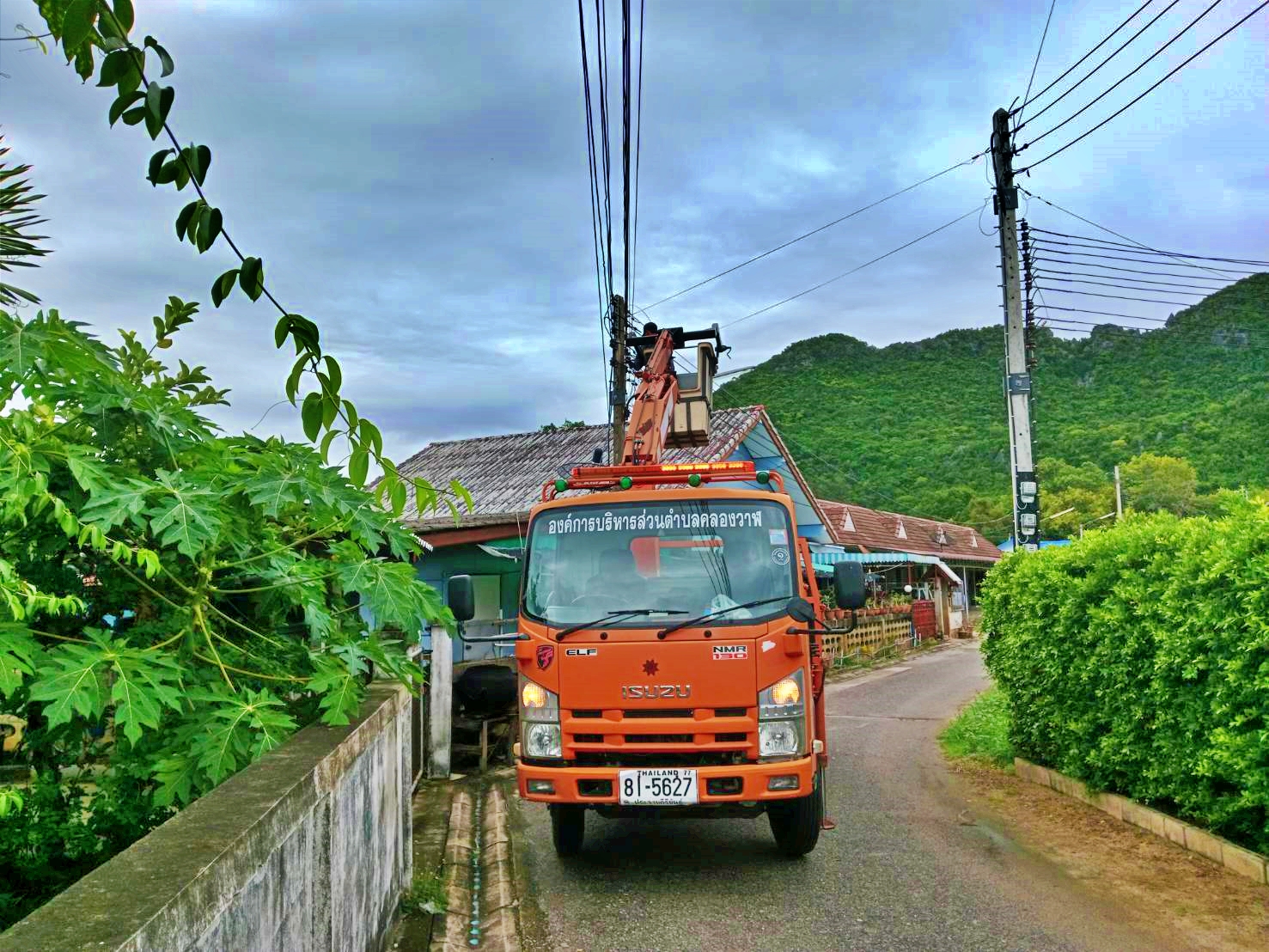 ซ่อมไฟฟ้าส่องสว่างสาธารณะที่ชำรุด ขัดข้อง ในเขตพื้นที่ หมู่ที่ 1 บ้านคลองวาฬ และหมู่ที่ 2 บ้านหนองหิน