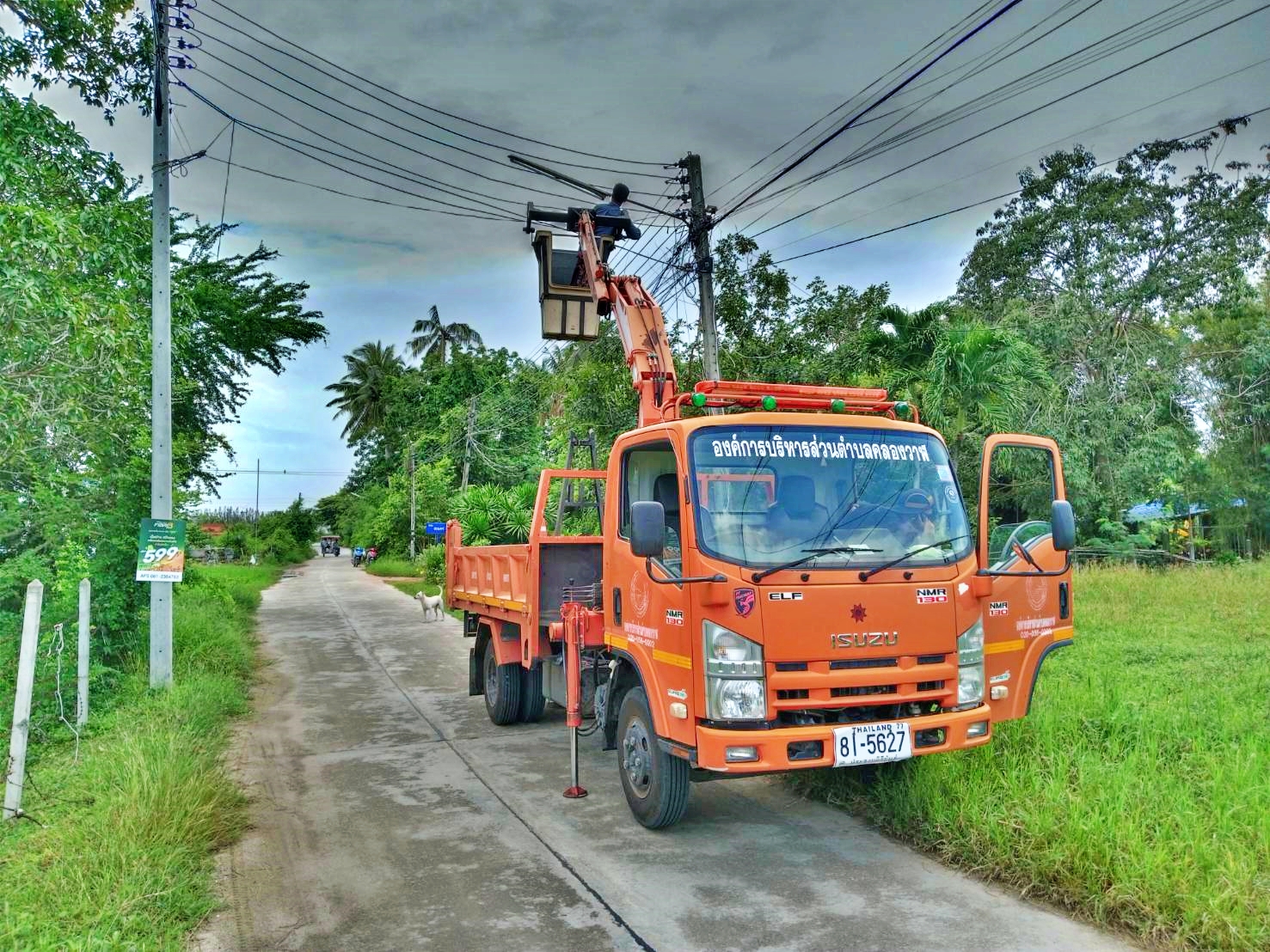 ซ่อมไฟฟ้าส่องสว่างสาธารณะที่ชำรุด ขัดข้อง ในเขตพื้นที่ หมู่ที่ 2 บ้านหนองหิน