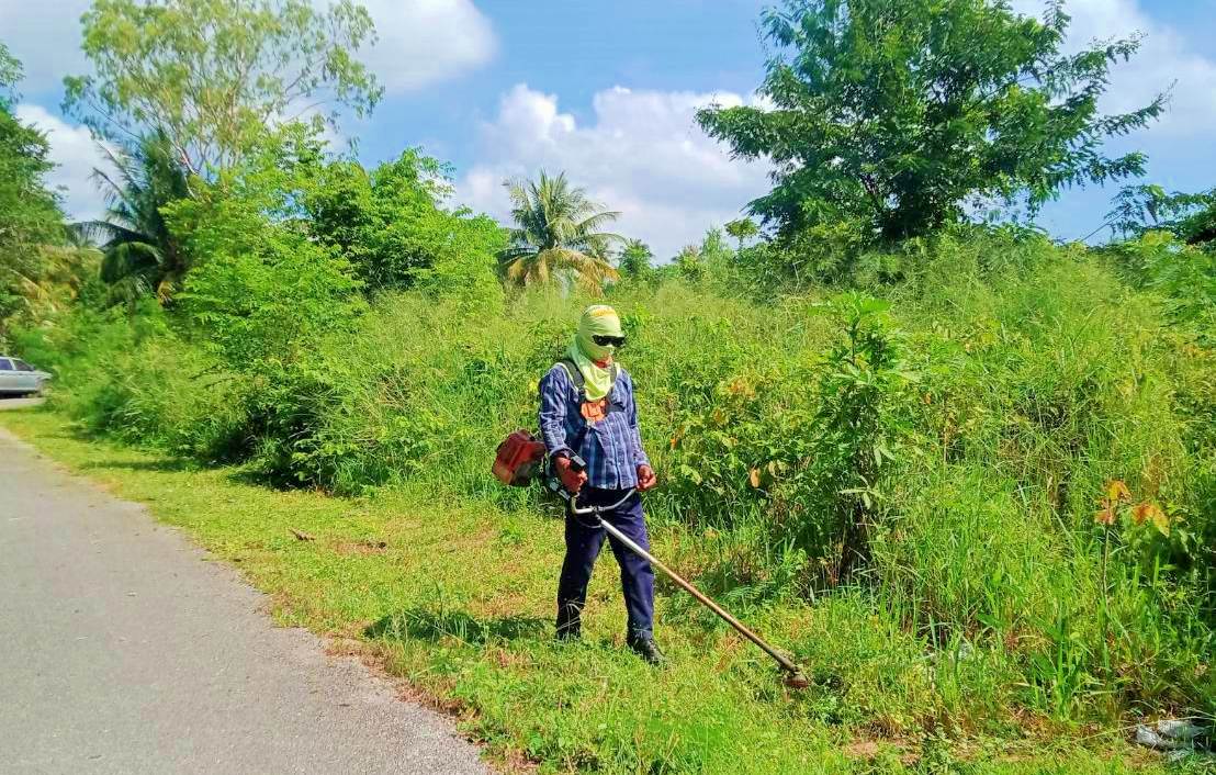 ปรับปรุงภูมิทัศน์ ซอยนายโชค และซ​อยนางวิเชียร - แยก หมู่ที่ 5 บ้านห้วยใหญ่